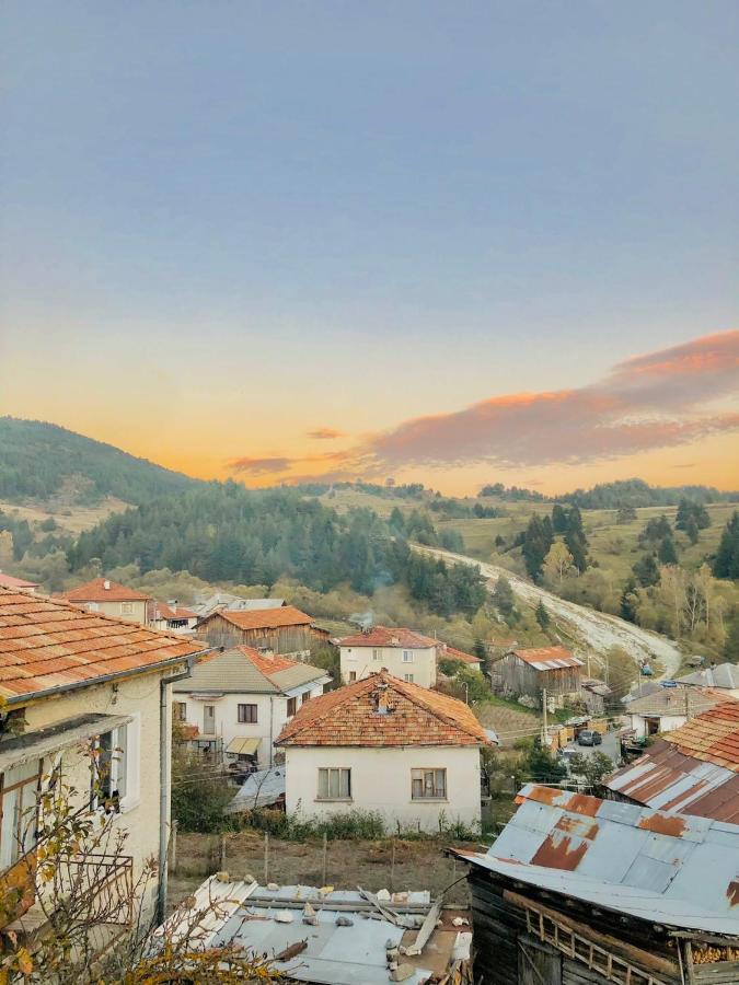 Къща За Гости "Домът На Краси" Yagodina Exterior photo