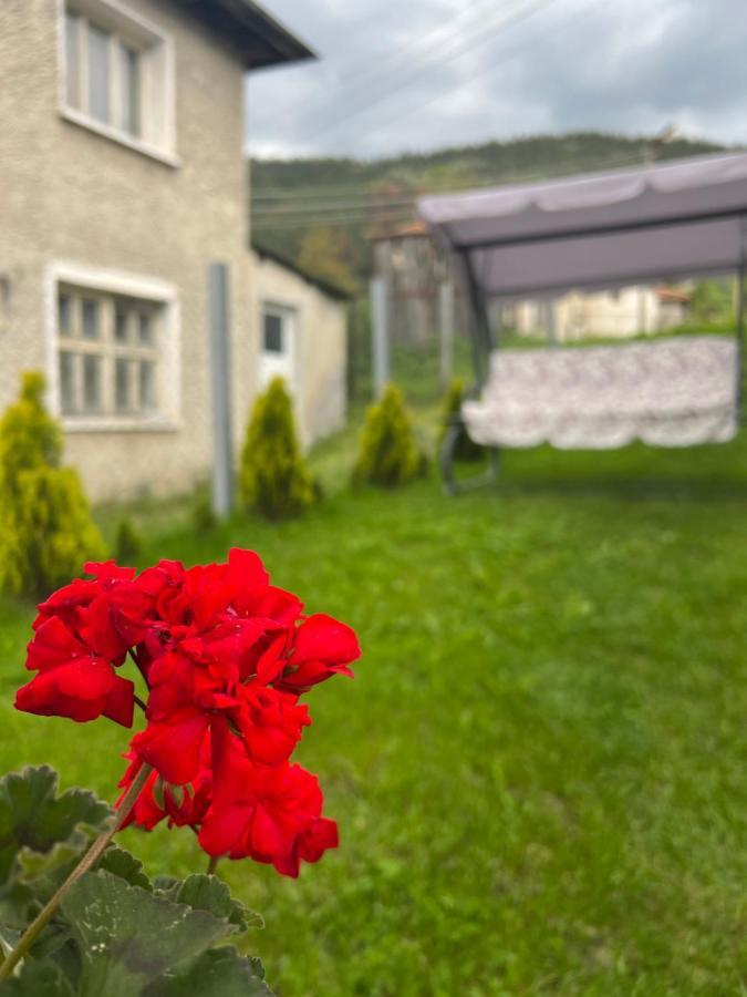 Къща За Гости "Домът На Краси" Yagodina Exterior photo