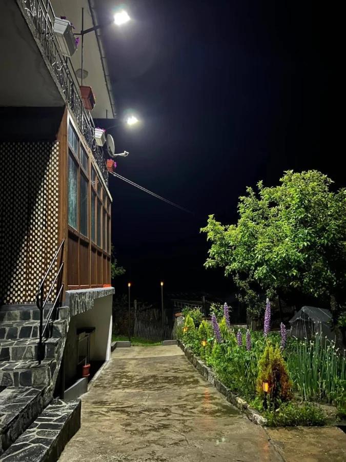 Къща За Гости "Домът На Краси" Yagodina Exterior photo